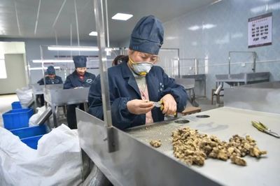 中藥材致富寶 挖掘傳統(tǒng)藥業(yè)的巨大潛力與保健食品銷售商機(jī)